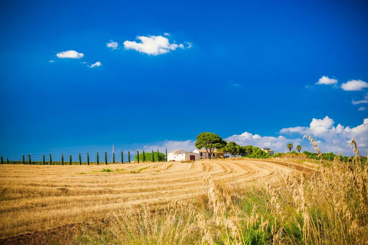 Agriturismo Tenuta Stoccatello Menfi Ngoại thất bức ảnh